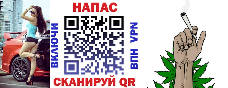 Конопля гибрид  Новосиль 